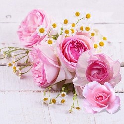 Funda Nórdica Naturals Mod. MARSELLA