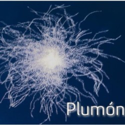 NÓRDICO GOBI (FERDOWN) MOD. SATÉN 100% PLUMÓN BLANCO SUPREME 140 GR/M2