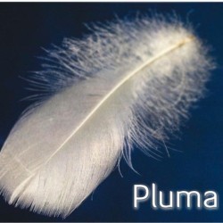 NÓRDICO GOBI (FERDOWN) MOD. SATÉN 100% PLUMÓN BLANCO SUPREME 140 GR/M2