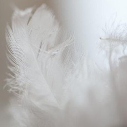 NÓRDICO GOBI (FERDOWN) MOD. SATÉN 100% PLUMÓN BLANCO SUPREME 140 GR/M2