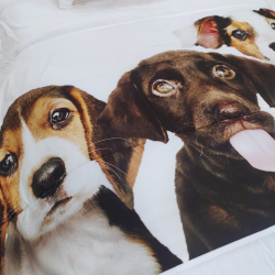 EDREDON Dogs 3020 Bimba Pimba