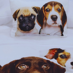 EDREDON Dogs 3020 Bimba Pimba