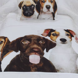 EDREDON Dogs 3020 Bimba Pimba