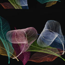 Funda nórdica modelo LIF de CANELLAS