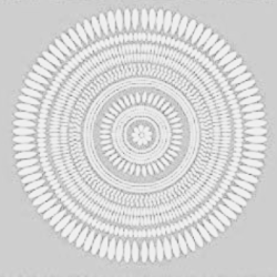 Toalla fouta de pestamal PEST41 gris claro100% algodón